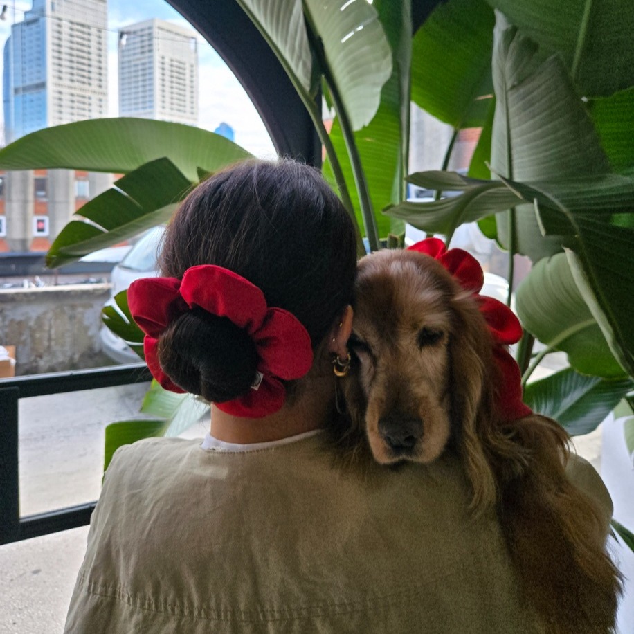 Uyumlu Kombin Seti – PawBow Flower Dog Collar & Mum Scrunchie Set (RedNavyGingham) - Görsel 2