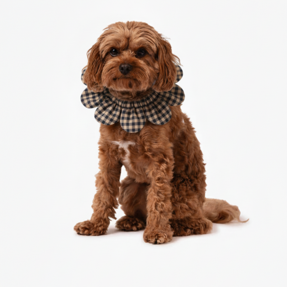 PawBow Flower Dog Collar (Navy Gingham) — Koleksiyonlar - El Yapımı Aksesuar | Rosano Studio