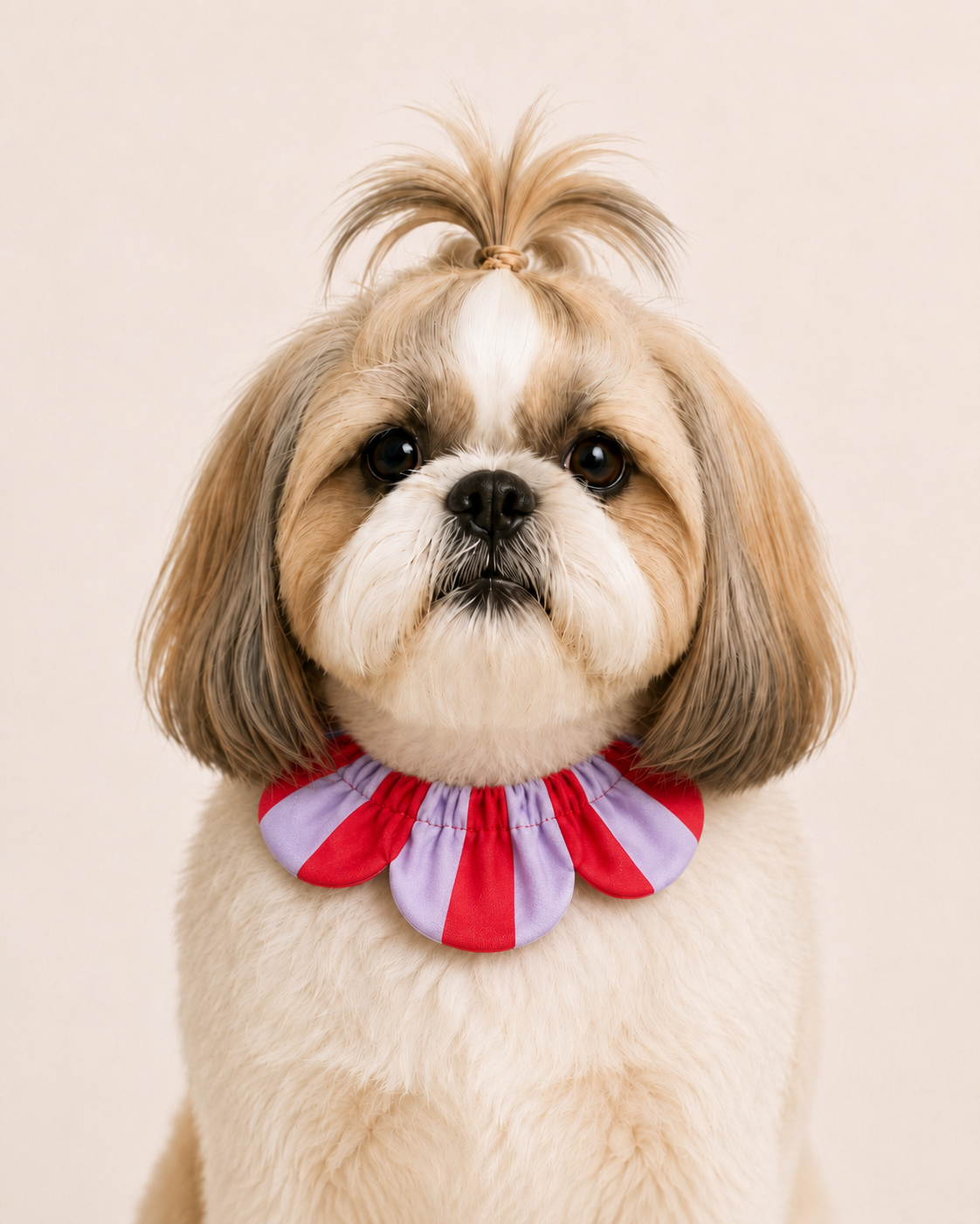 PawBow Flower Dog Collar (red lilac stripe) — Koleksiyonlar - El Yapımı Aksesuar | Rosano Studio