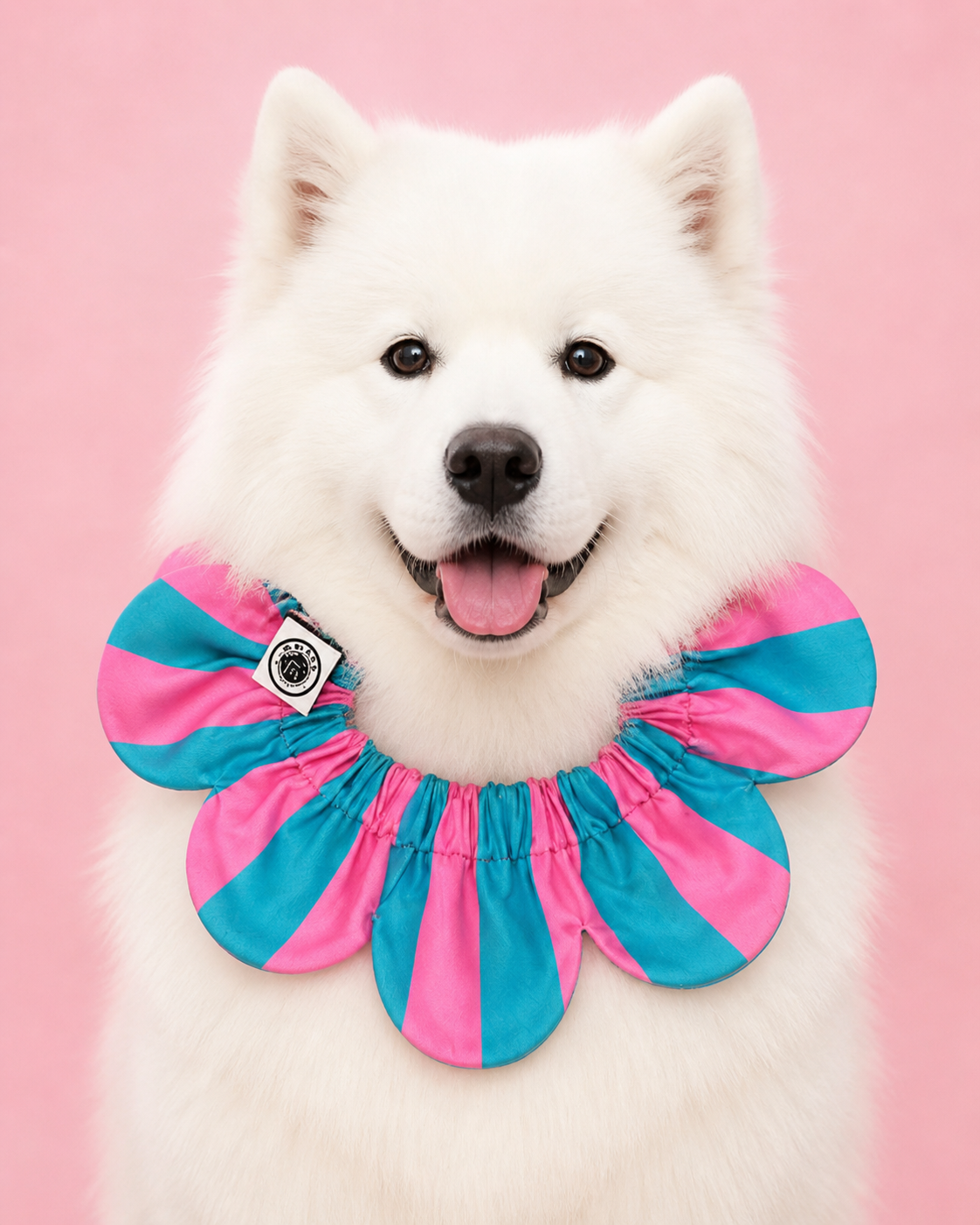 El Yapımı Köpek Yakalığı – PawBow Flower Dog Collar (aqua pink stripe) - Görsel 2