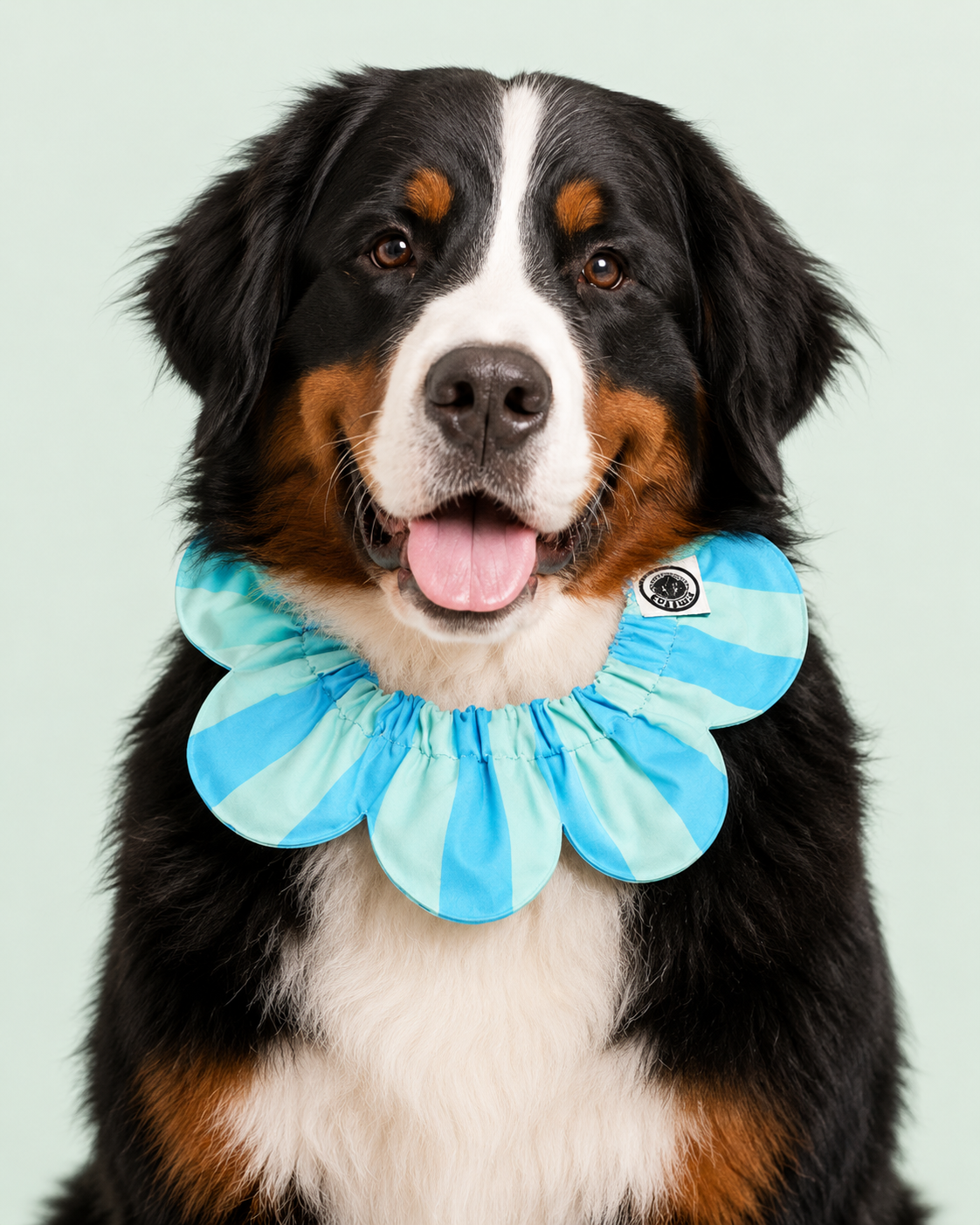 El Yapımı Köpek Yakalığı – PawBow Flower Dog Collar (blue aqua stripe) - Görsel 1