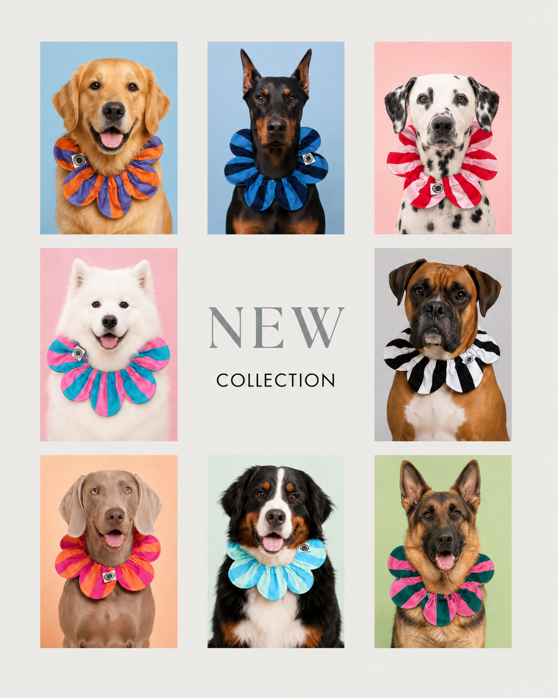 PawBow Flower Dog Collar (multicolour collection) — Koleksiyonlar - El Yapımı Aksesuar | Rosano Studio