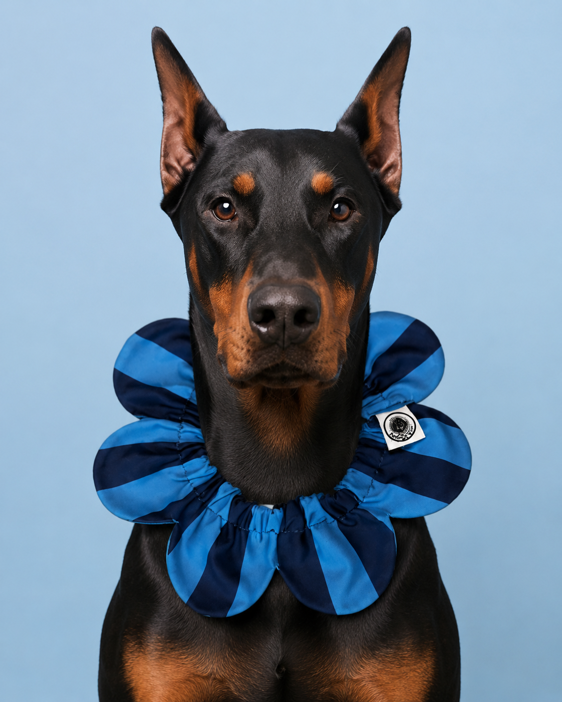 El Yapımı Köpek Yakalığı – PawBow Flower Dog Collar (navy blue stripe) - Görsel 1