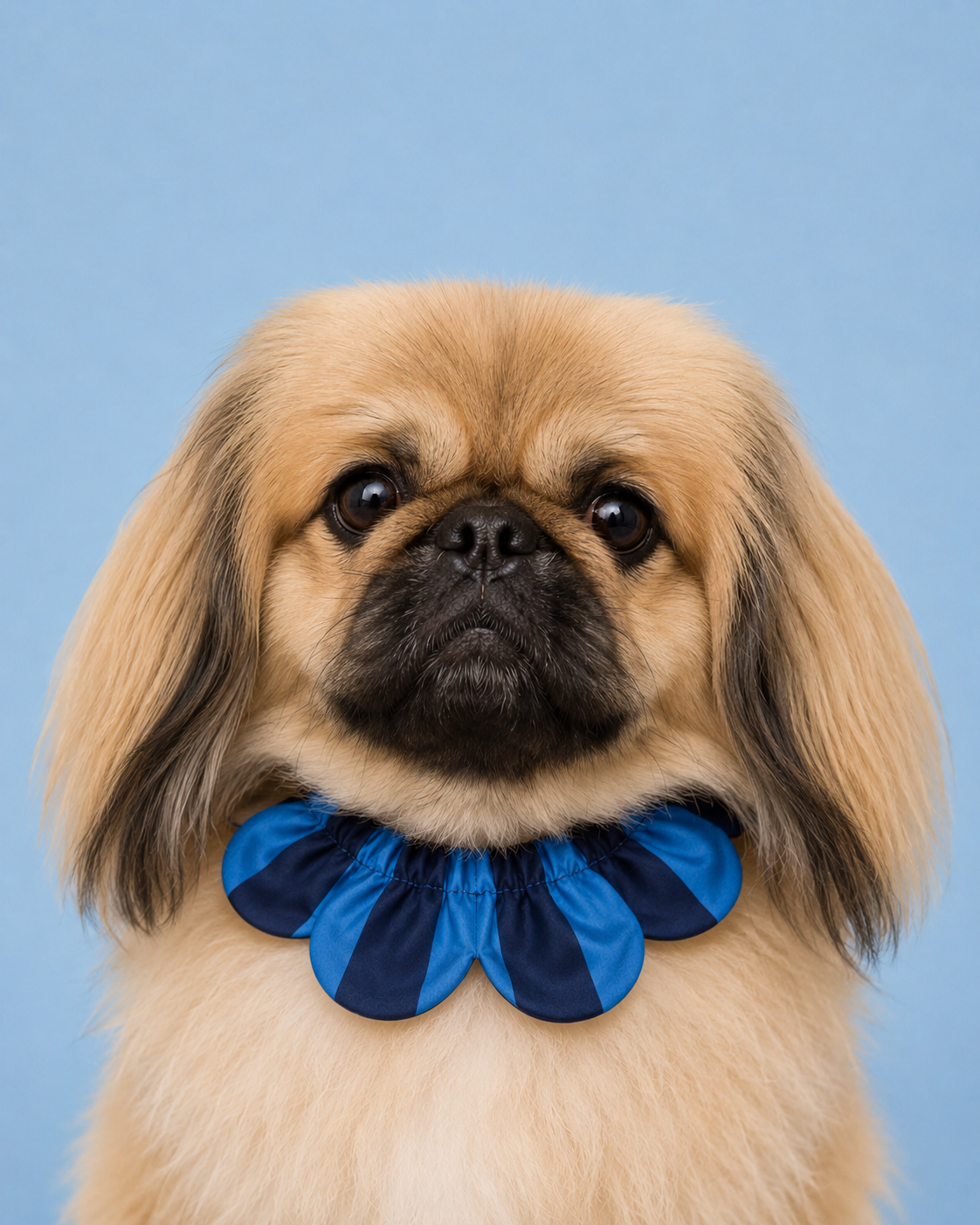 El Yapımı Köpek Yakalığı – PawBow Flower Dog Collar (navy blue stripe) - Görsel 2