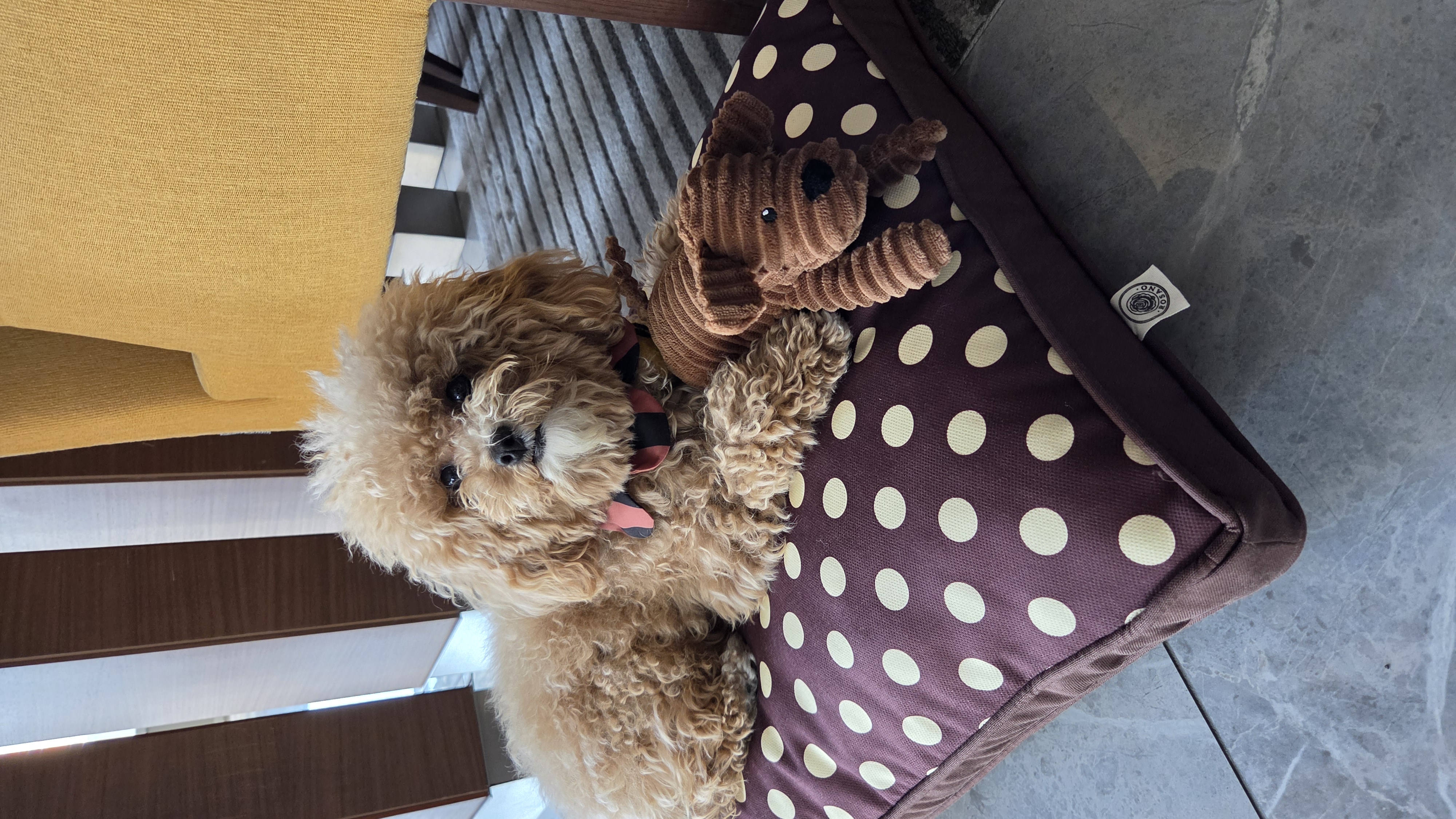 El Yapımı Evcil Hayvan Minderi – Rosy Dog Bed - Görsel 1