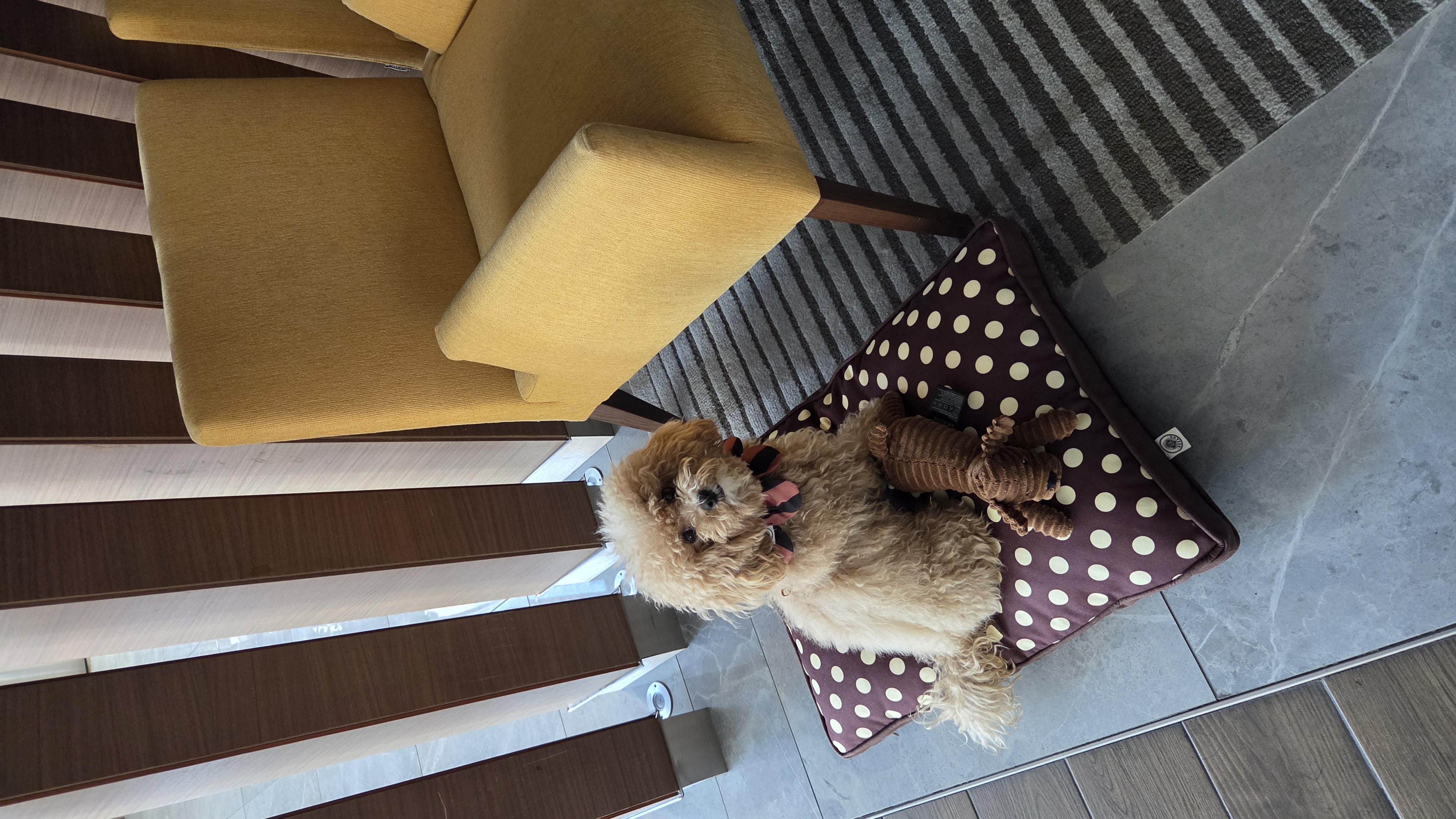 El Yapımı Evcil Hayvan Minderi – Rosy Dog Bed - Görsel 2