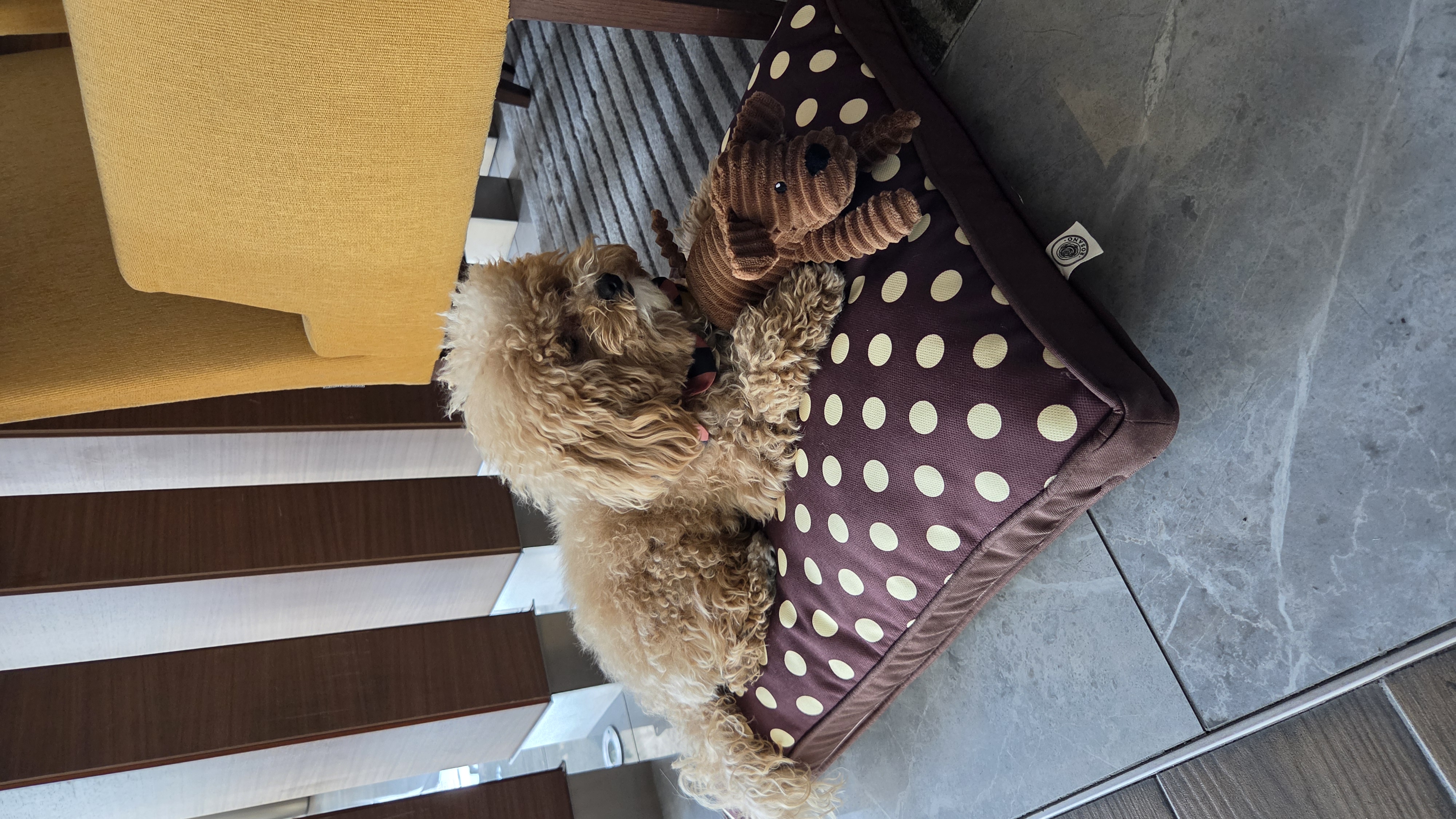 El Yapımı Evcil Hayvan Minderi – Rosy Dog Bed - Görsel 3