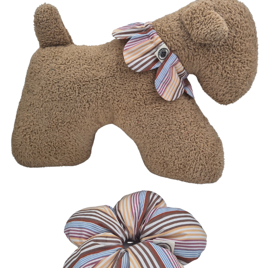 Dog & Mum Set (Colourful Stripe) — Köpek Sahibine Hediye: Özel Kutulu Uyumlu Setler | Rosano Studio