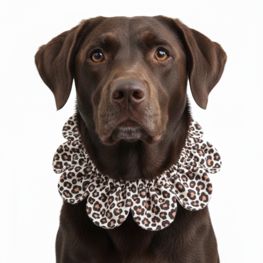 Markamızın İmzası: Çiçek Formlu Köpek Yakalığı (Krem) — El Yapımı Köpek Papyonu & Yaka Takımları | Rosano Studio