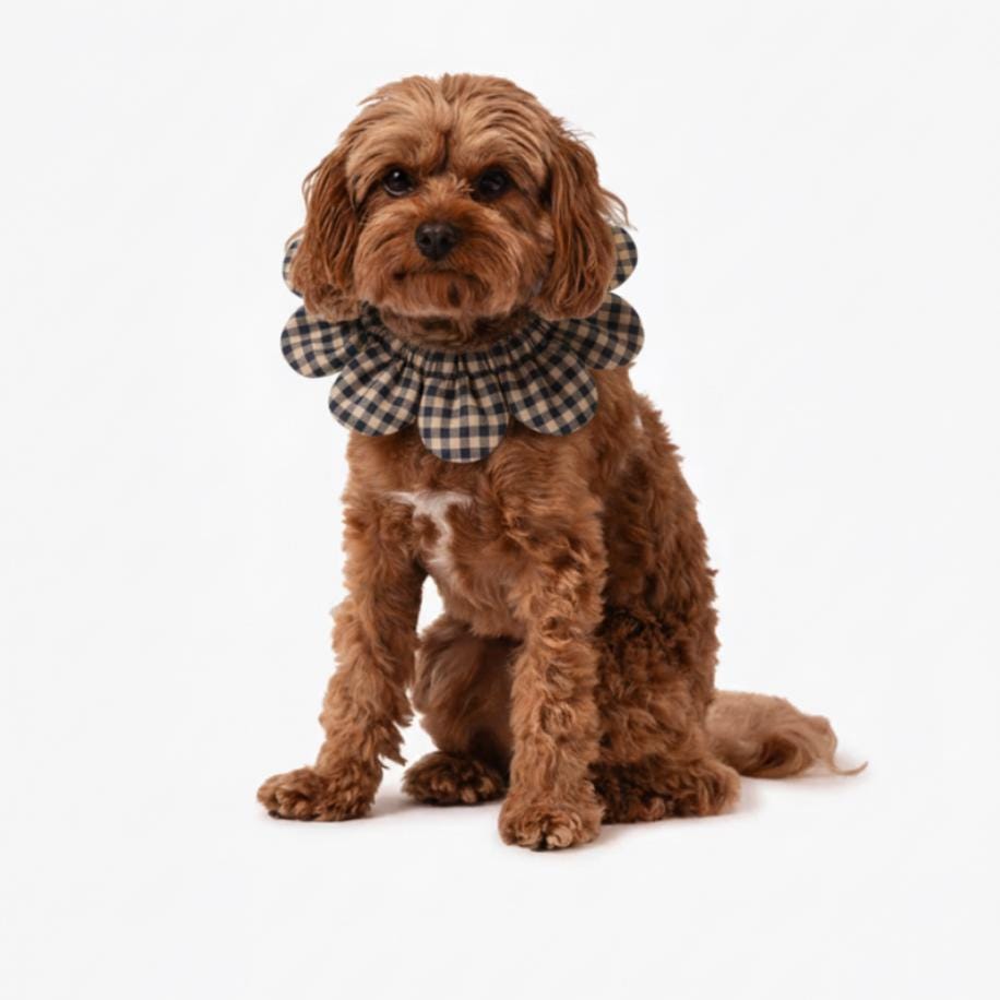 PawBow Flower Dog Collar (Navy Gingham) — El Yapımı Köpek Papyonu & Yaka Takımları | Rosano Studio