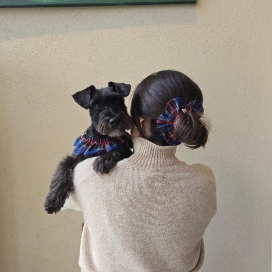 PawBow Flower Dog Collar & Mum Set — Köpek Sahibine Hediye: Özel Kutulu Uyumlu Setler | Rosano Studio