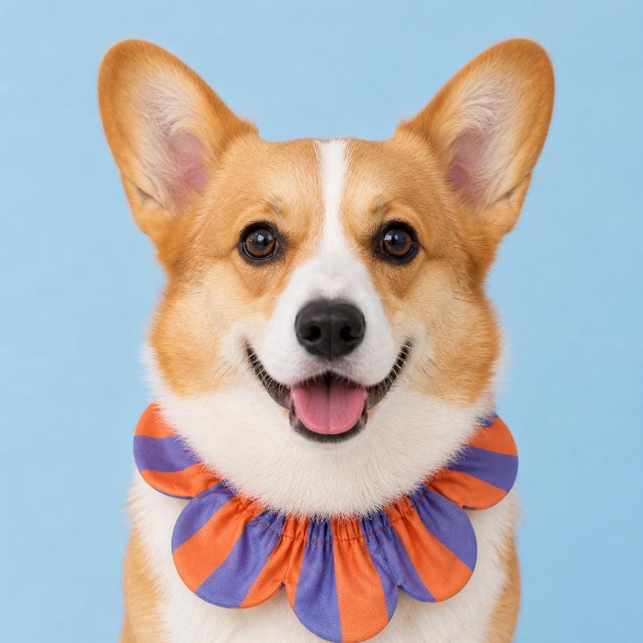 PawBow Flower Dog Collar (lilac orange stripe) — El Yapımı Köpek Papyonu & Yaka Takımları | Rosano Studio