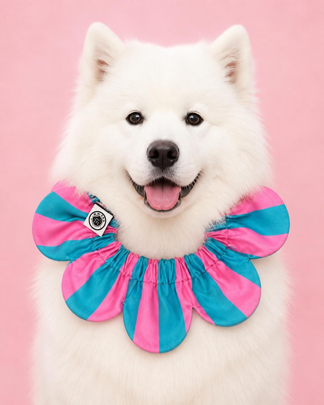 PawBow Flower Dog Collar (aqua pink stripe) — El Yapımı Köpek Papyonu & Yaka Takımları | Rosano Studio