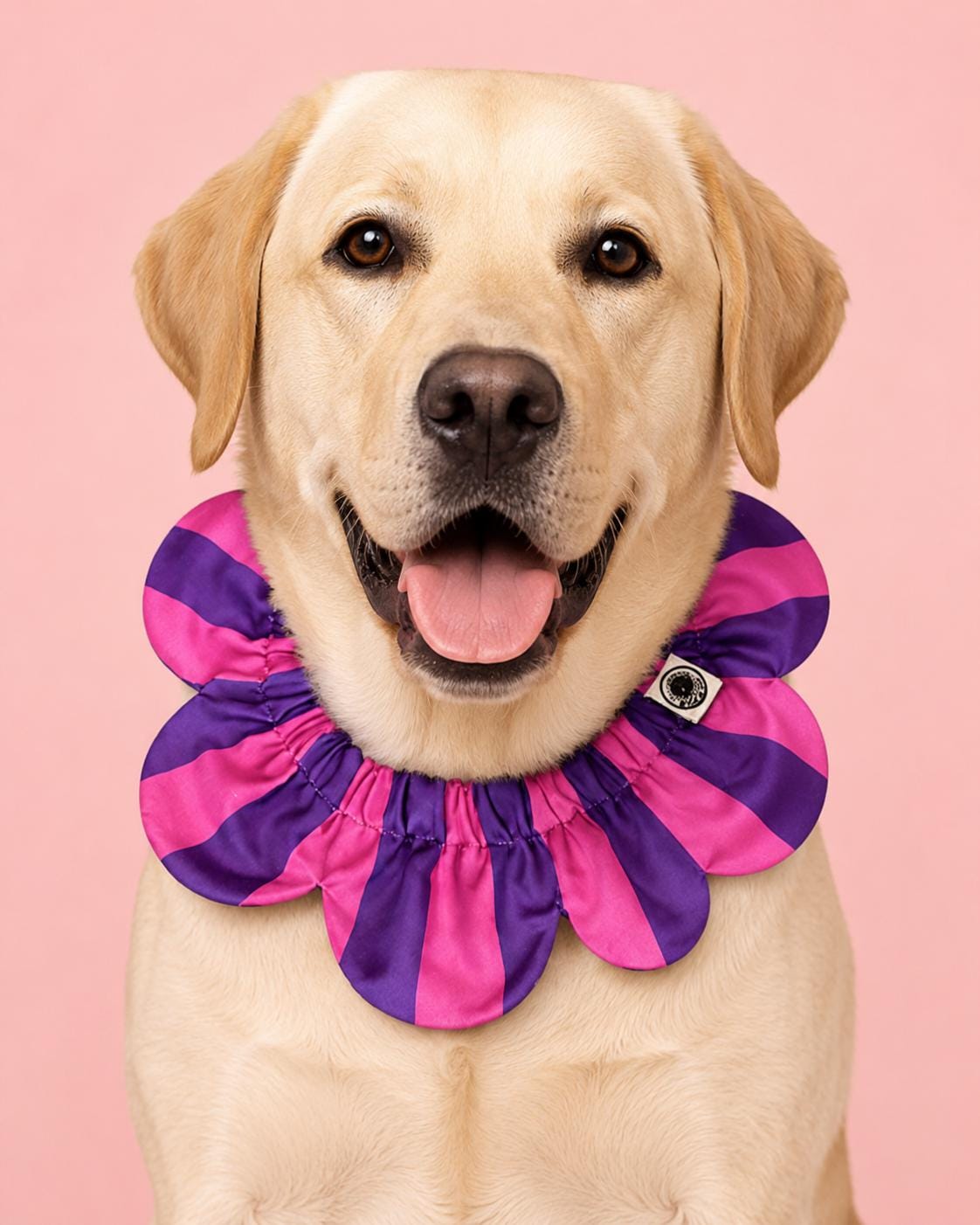 PawBow Flower Dog Collar (pink purple stripe) — El Yapımı Köpek Papyonu & Yaka Takımları | Rosano Studio