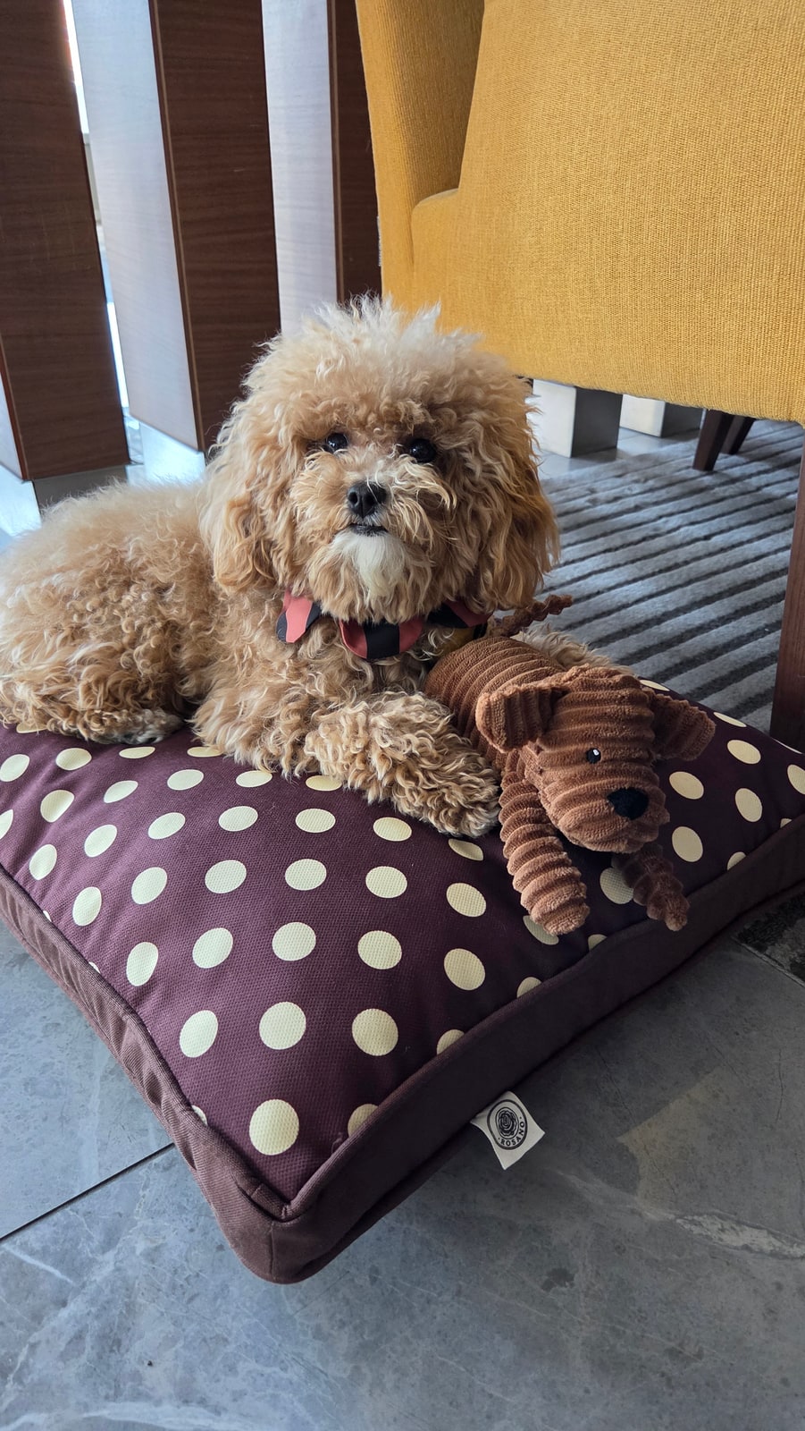 Rosy Dog Bed — Su Geçirmez Alezli & Yıkanabilir Köpek Yatağı (Rosy Dog Bed) | Rosano Studio